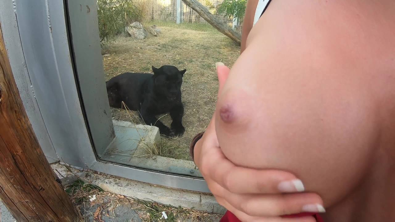 This couple get horny in the zoo and he cums on her tits