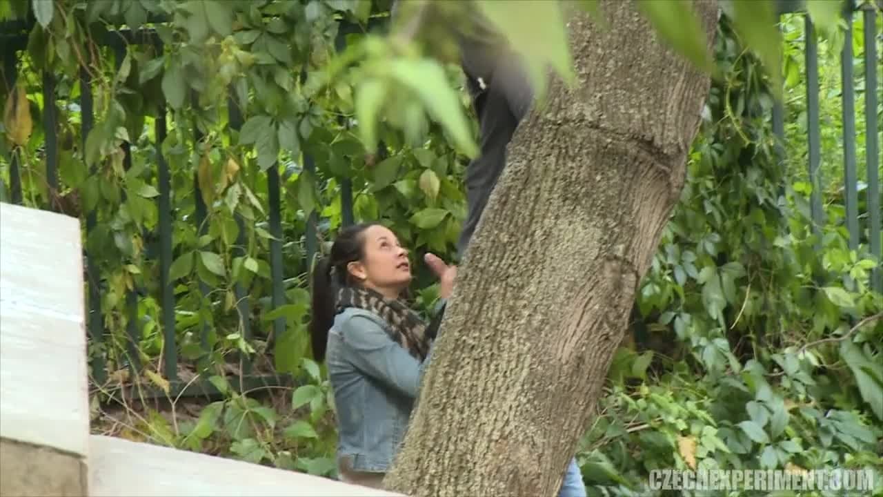 In this scene we see a couple in the forest